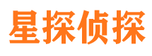 安化市调查公司